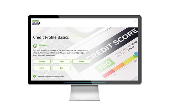 Online Financial Literacy Program for the  South Carolina Financial Educators Council